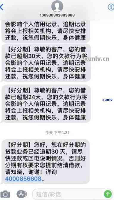 冰岛地界普洱茶的口感特点与价格比较：冰岛老寨与地界茶区别解析