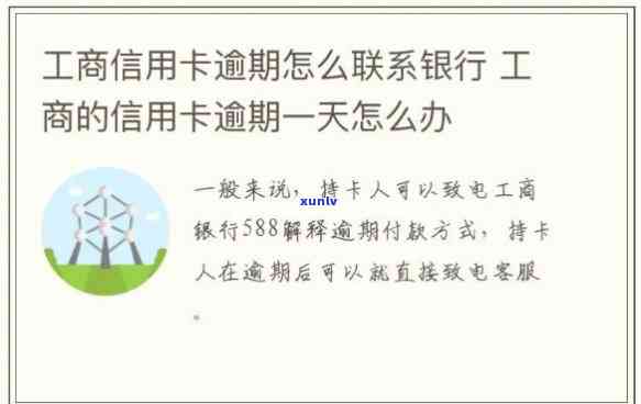 大马坎糯冰种料，探寻翡翠珍品：揭秘大马坎糯冰种料的独特魅力