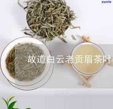 故道白云茶是什么茶-故道白云茶的价格