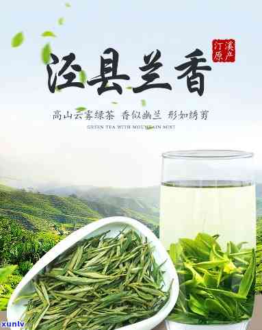 泾县兰香茶：绿茶还是其他？详解其品种与特点