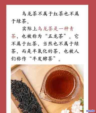 乌茶龙和什么茶相似啊，探究乌茶龙与哪些茶叶相似之处？