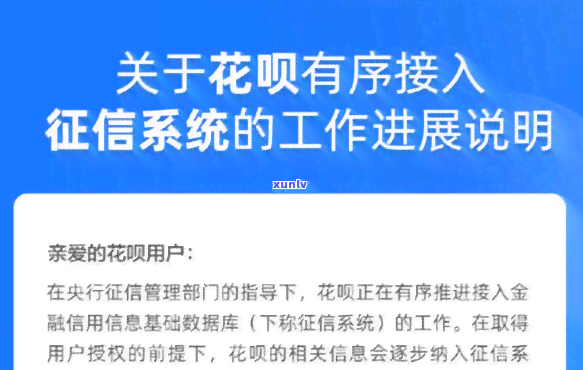 花呗多久更新一次？查询最新更新时间