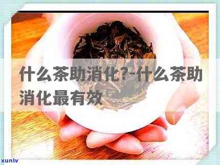 什么茶可以消化积食呢，推荐几种能够帮助消化积食的茶叶