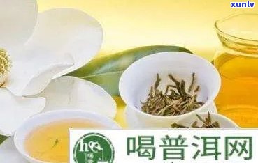 什么茶可以消化积食-什么茶可以消化积食效果好