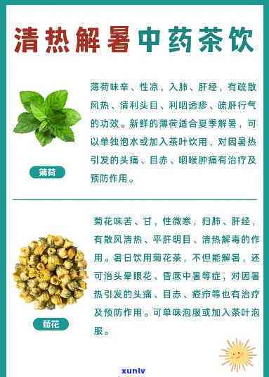 天防暑喝什么茶，日炎炎，这些清热解暑的茶，你一定需要！