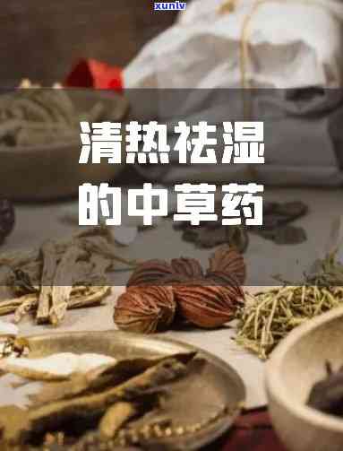 清热利湿用什么泡水喝，解暑神器！哪些草药可以清热利湿，泡水饮用？