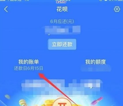 那木种翡翠值钱吗？是真的还是假的？