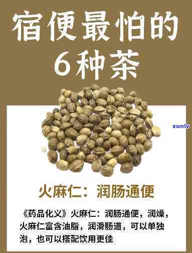 什么茶排便最快，快速排便的秘密武器：哪种茶效果？