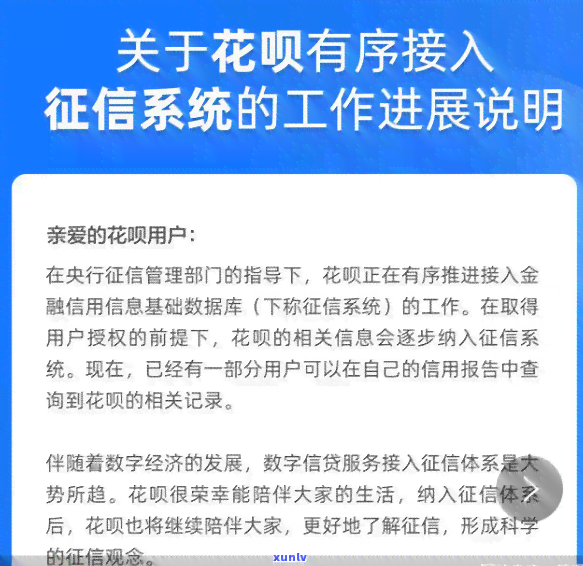 那木种翡翠值钱吗？是真的还是假的？