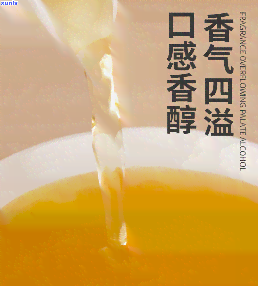 什么茶最养肝护肝补肾，探讨茶叶的护肝、补肾功效，哪种茶最适合您？