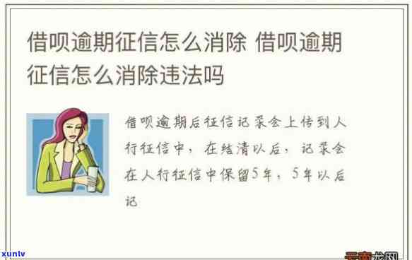 借呗花呗逾期被上-借呗花呗逾期被上怎么办