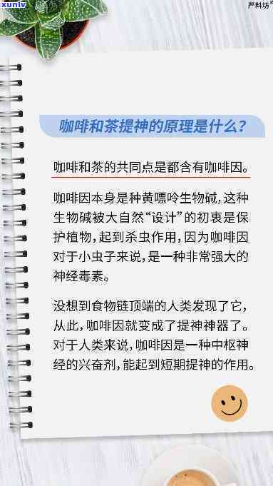 什么茶最提神解乏：效果对比与选择指南