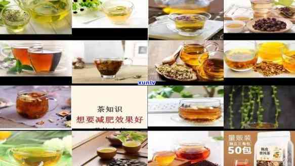 什么茶喝了减肥瘦身-什么茶喝了减肥瘦身效果好