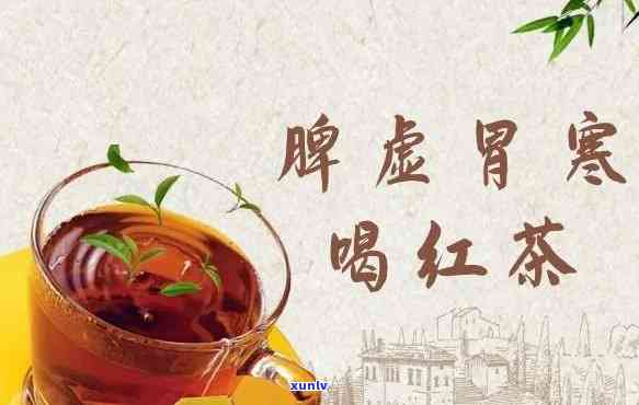 瓜子金茶叶是什么茶-瓜子金茶叶是什么茶种