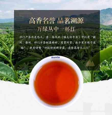 蚕砂茶的功效与作用解析