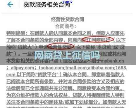 蚂蚁网商贷上吗，真相揭秘：蚂蚁网商贷是不是会上？