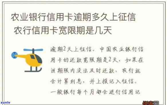 翡翠耳扣款式大全：了解各种款式、优缺点及搭配建议，助你选到心仪的耳环