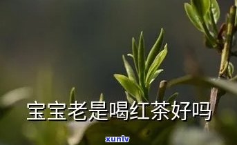 小孩天天喝红茶好吗-小孩天天喝红茶好吗女孩