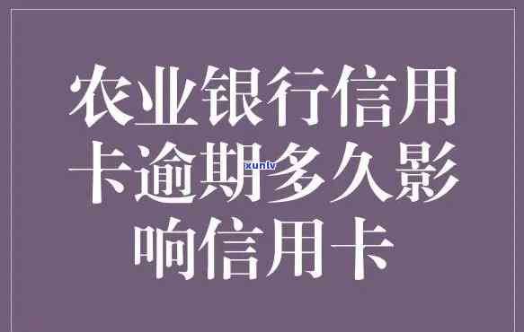 农业银行信用卡逾期一天对信用有作用吗？