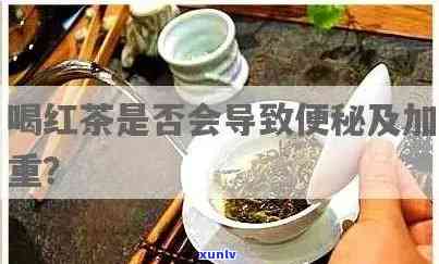 普洱茶90年代红印