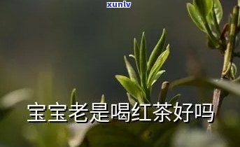 宝宝能否饮用红茶？求解！