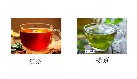 内火旺喝绿茶好还是红茶好？专家解析对比