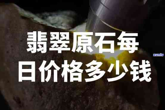 翡翠奇石价格全揭秘：详细价格表及多少钱一克