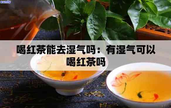 湿气重可以喝红茶吗-湿气重可以喝红茶吗?