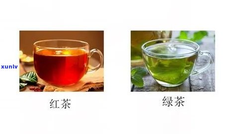 女生天天喝红茶好还是绿茶？比较分析