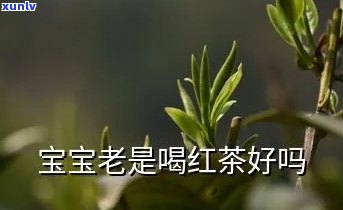 2岁宝宝能喝红茶吗？原因解析