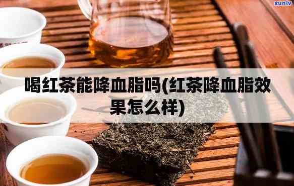 血脂稠可以喝红茶吗-血脂稠能不能喝红茶