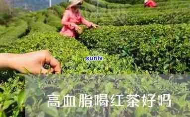 血脂高可以喝红茶吗-血脂高可以喝红茶吗男性