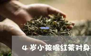 四岁小女孩能喝红茶吗？探讨四岁小朋友是否适合饮用红茶及冰红茶的相关问题