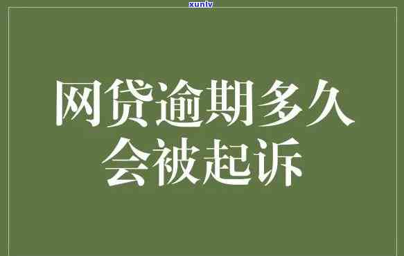 网贷逾期走访调查：真实性探讨