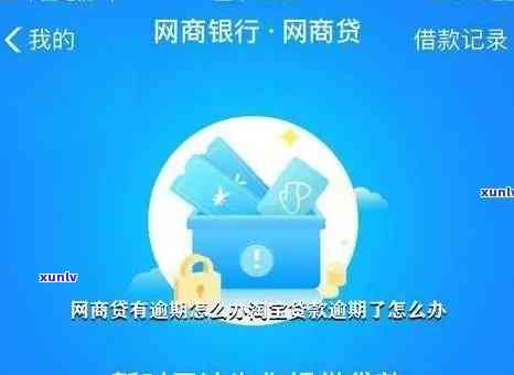 网商贷欠款逾期5天：结果及解决办法