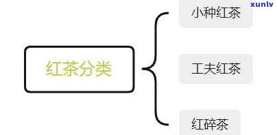 红茶分节喝吗？探讨不同节如何品饮