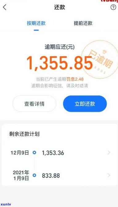 翡翠福袋全方位解析：选购、保养、款式与寓意，一次搞定！