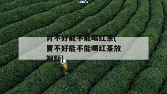 胃不好可以喝红茶吗？视频讲解详解