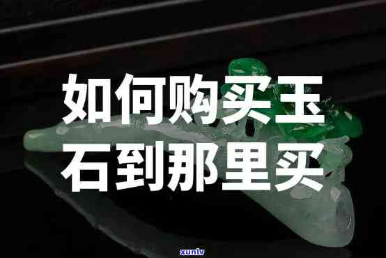 中信逾期还了不能用怎么办，中信逾期还款后无法采用：解决方案与建议