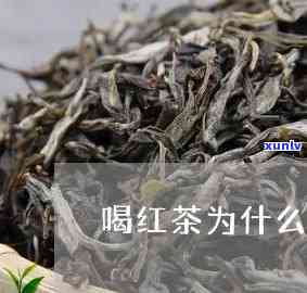 喝红茶会胃不服吗？原因解析