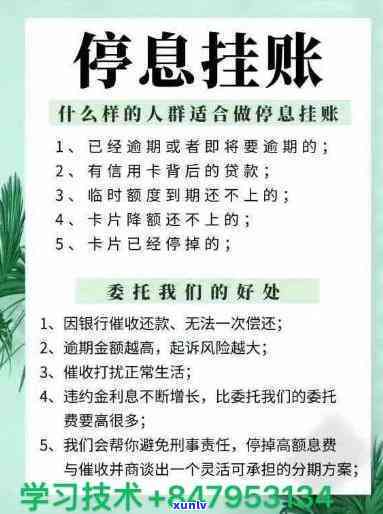 怎样申请停息挂账？详细步骤与条件解析