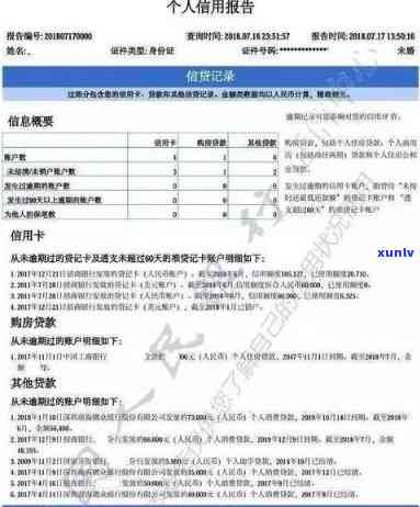 怎么看花呗是不是已上：记录与报告的查询  