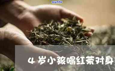 4岁女宝宝适合饮用红茶吗？