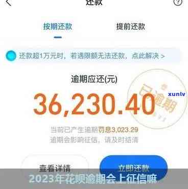 怎么判断花呗有没有上-怎么判断花呗有没有上2023