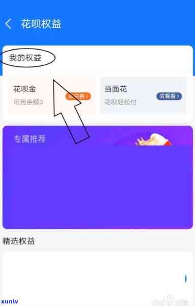 怎么查花呗授权，如何查询花呗授权记录？