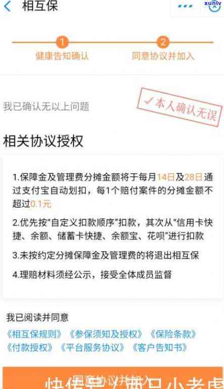 翡翠晴底与蓝底哪个更好？比较分析与评价