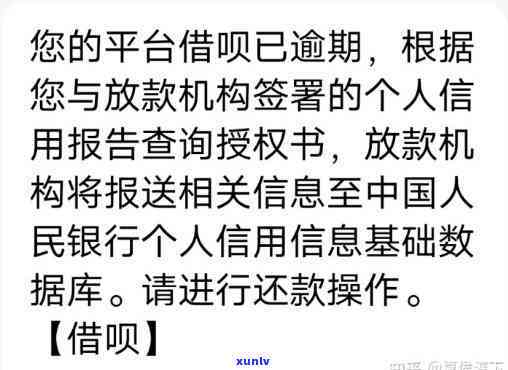 新仅逾期一天的农行信用卡还款，可能会产生的影响及解决方案