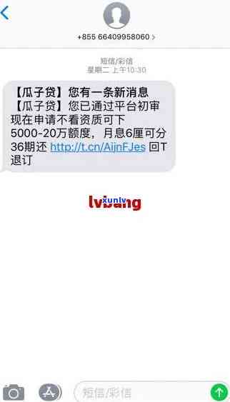 支付宝网商贷逾期提醒短信是真的吗，真相揭示：支付宝网商贷逾期提醒短信是不是真实存在？