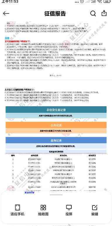 支付宝借呗逾期一次，会否在报告中显示？