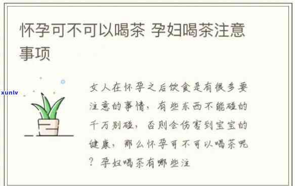 孕妇到底能不能喝红茶，孕期饮茶指南：孕妇能否喝红茶？